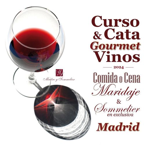 Curso de Cata de Vinos Gourmet en Madrid, con Comida o Cena Maridaje y Sommelier en exclusiva
