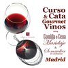 Curso de Cata de Vinos en Madrid con Comida o Cena Maridaje Gourmet y Sommelier en exclusiva